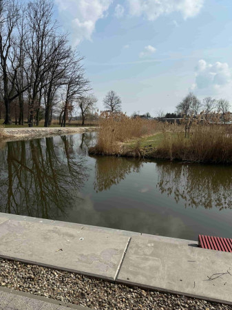 Staw w parku miejskim w Miechowie podczas spaceru edukacyjnego uczniów, zdjęcie 3 z 4